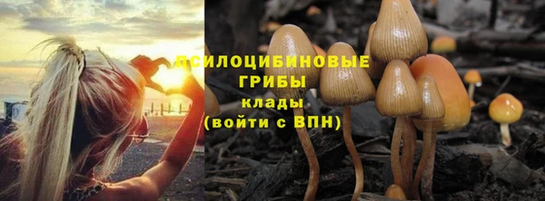 крисы Алзамай