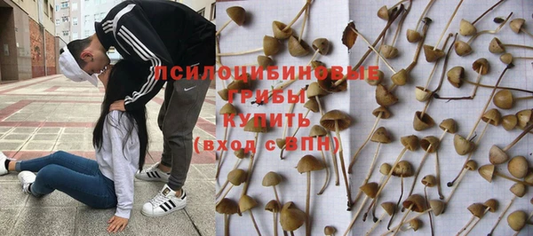 крисы Алзамай
