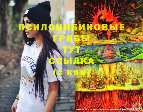 дживик Алексин