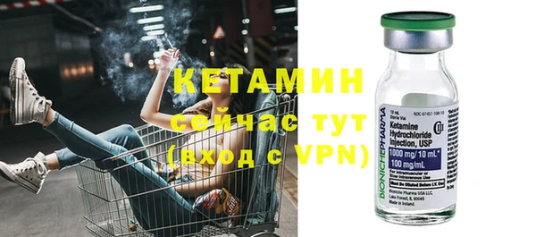 крисы Алзамай