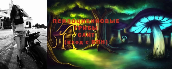 дживик Алексин